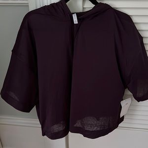 Athlete cropped sheer hoodie tee